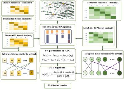 Predicting Metabolite-Disease Associations Based on Spy Strategy and ABC Algorithm